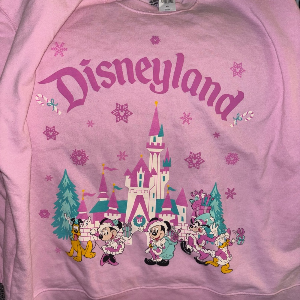 Disney Pink Sweatshirt with Castle and Characters